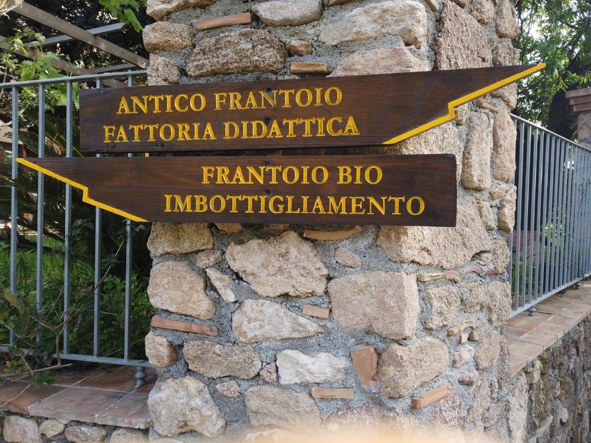 Il Mandorlo Villa Amantea Exterior photo