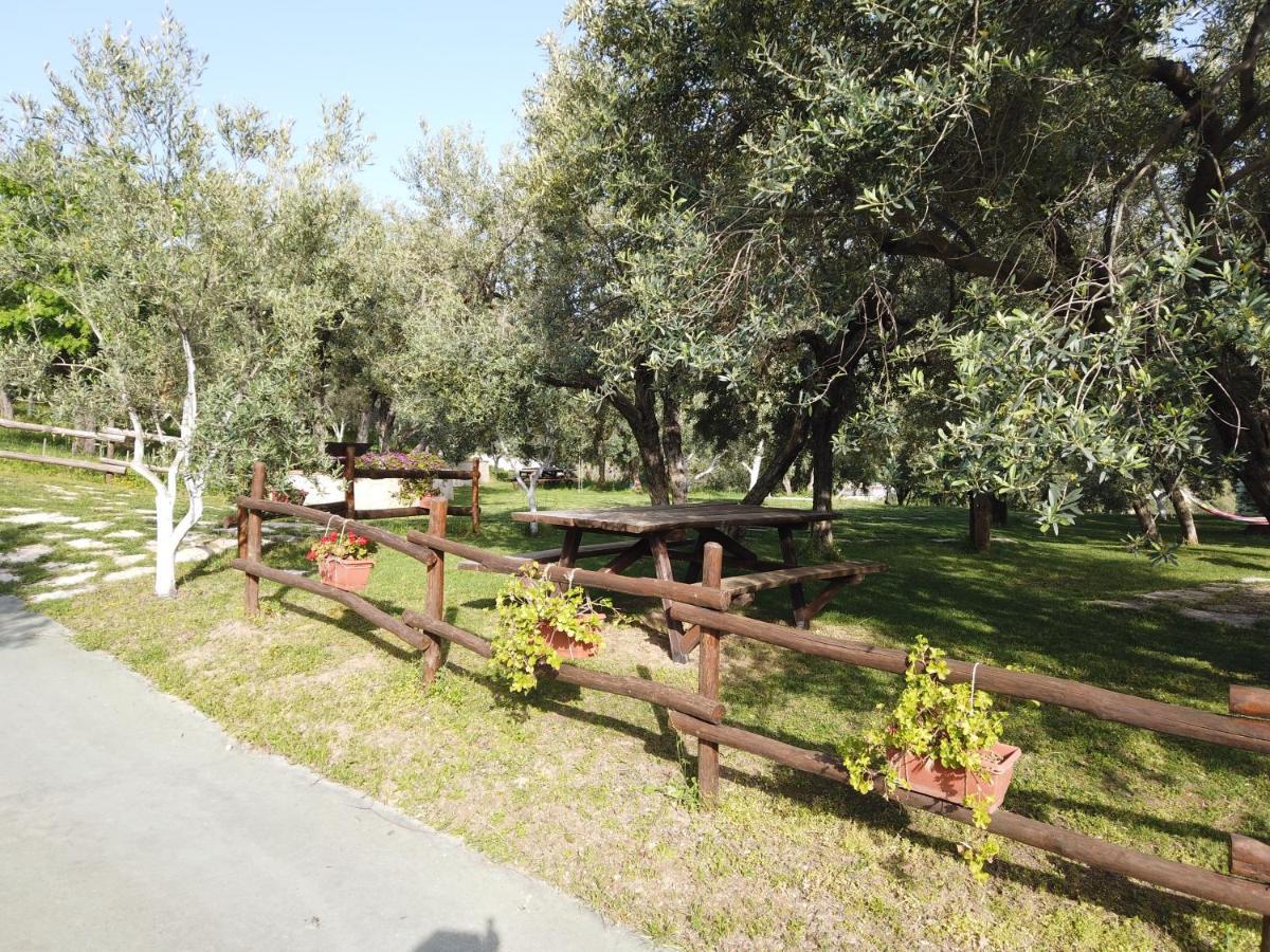 Il Mandorlo Villa Amantea Exterior photo