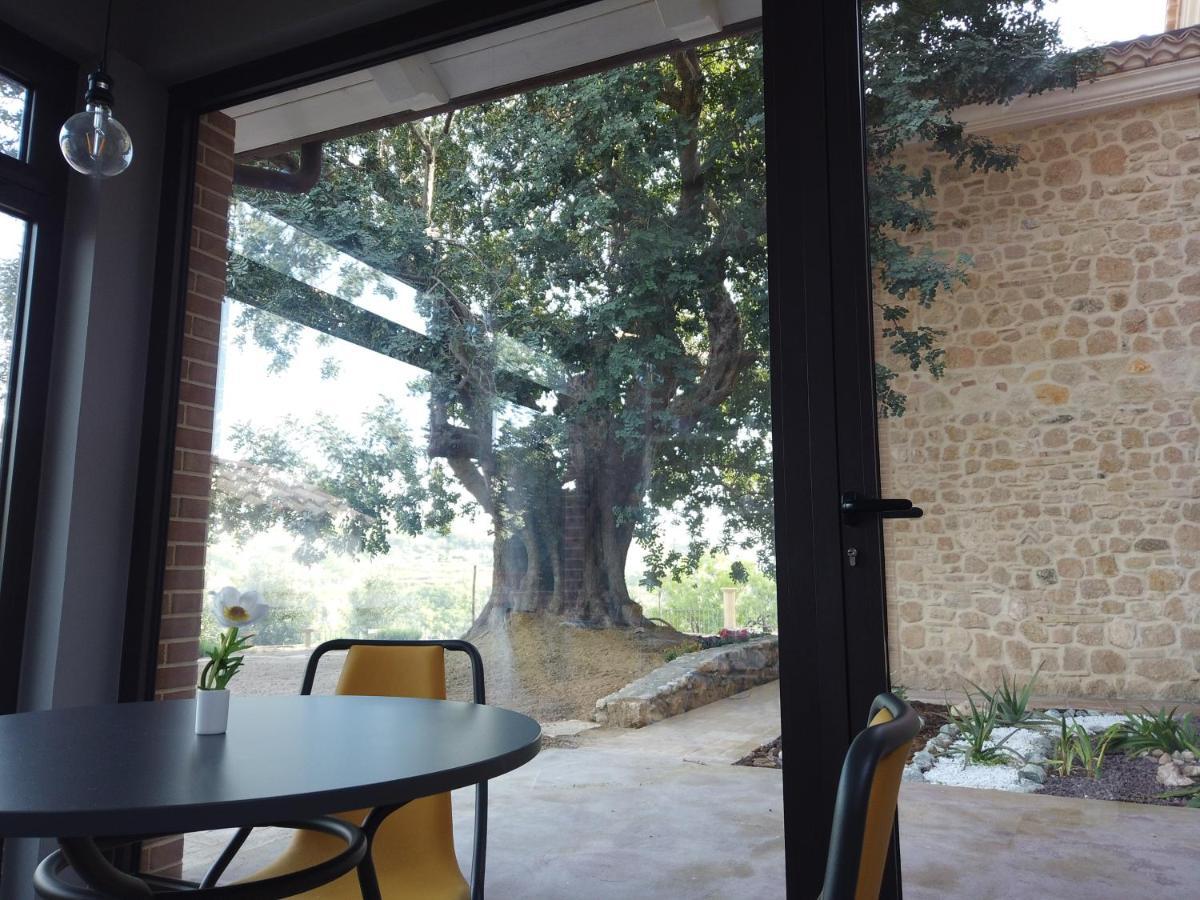 Il Mandorlo Villa Amantea Exterior photo